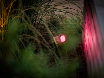 Tips for Using Dimmable and Colour Changing Lights to Match Different Vibes