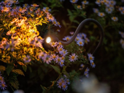 Paths to Pergolas. Five Ways to Use Adjustable Lighting to Transform Your Garden